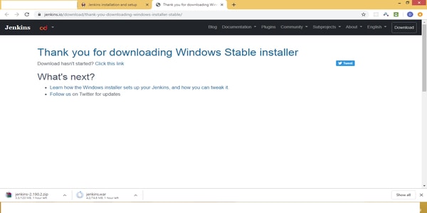 Windows Stable Installler